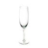 Tulip Spritzer-Champagne glass